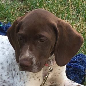 Meet your Posher, Matt